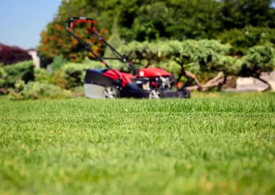 Lawn Care