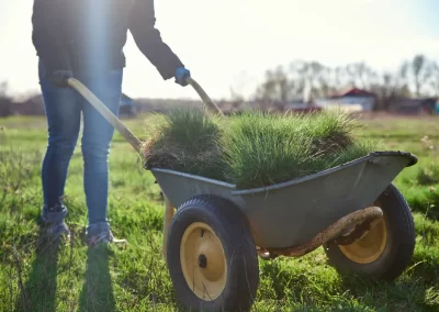 Lawn Care Specialist