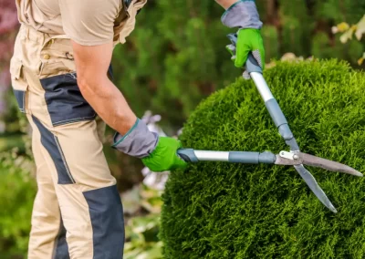 Quality Lawn Care and Landscaping