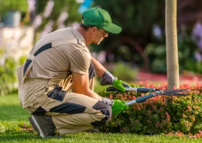 Quality Lawn Care and Landscaping