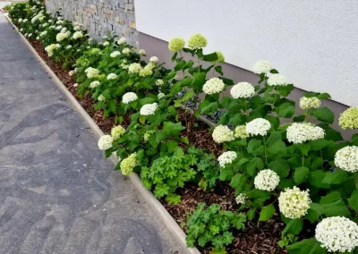 Quality Lawn Care and Landscaping