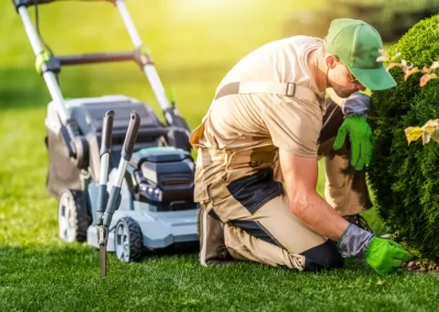 Quality Lawn Care and Landscaping