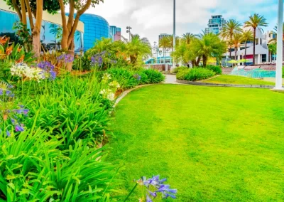 Quality Lawn Care and Landscaping