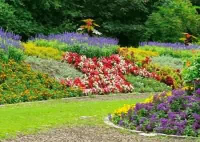 Quality Lawn Care and Landscaping