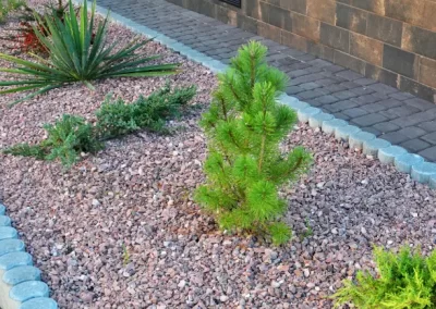 Quality Lawn Care and Landscaping
