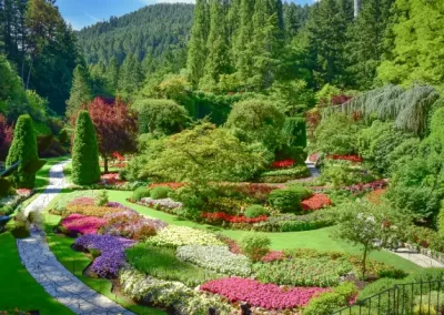 Quality Lawn Care and Landscaping