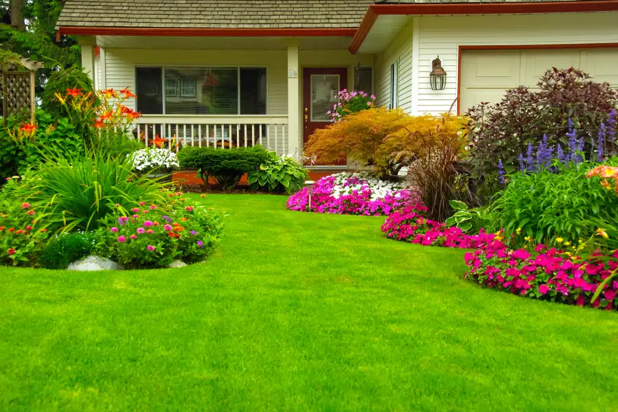 Residential Lawn Maintenance