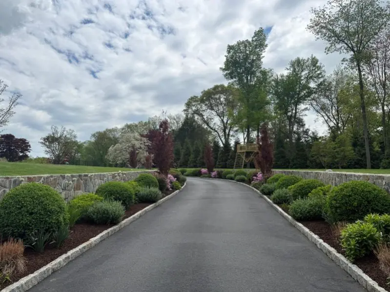 Affordable Landscaping Services